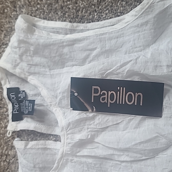 Papillon - Picture 2 of 3